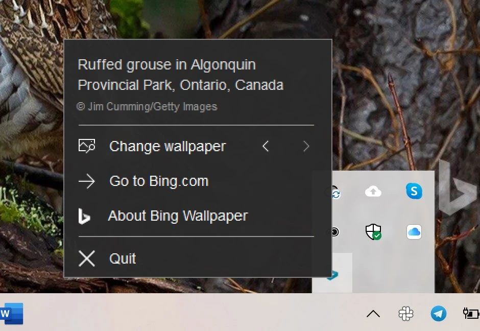 bing tapeta windows class="wp-image-1129363"