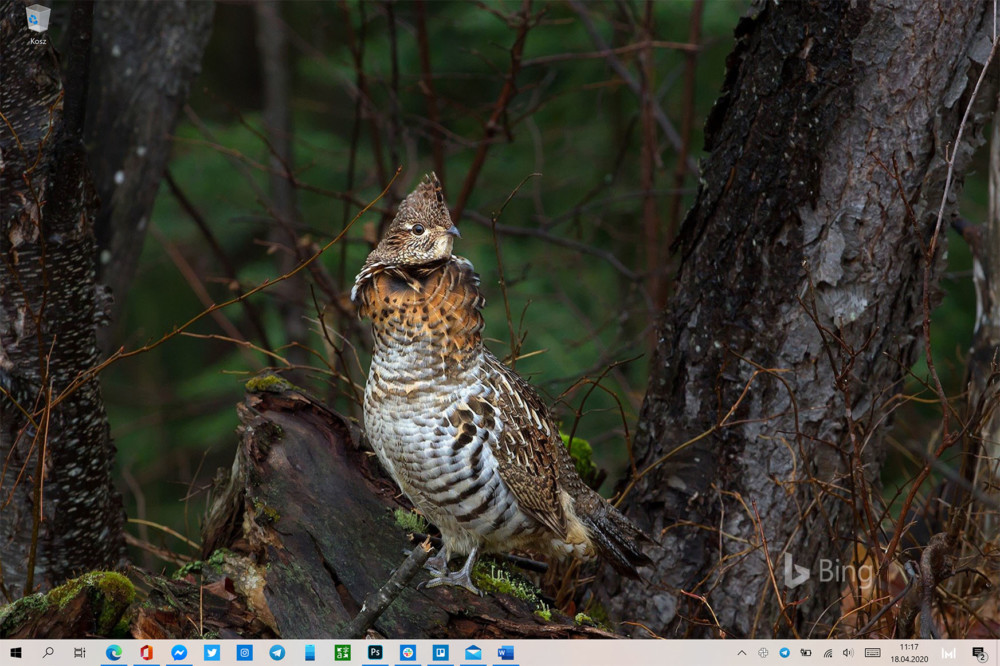 bing tapeta windows class="wp-image-1129366" 