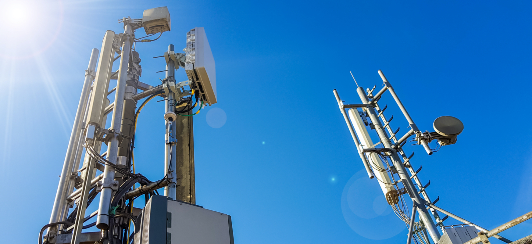Przez 5G wytną drzewa, mówią. Obalamy mity wokół sieci 5. generacji