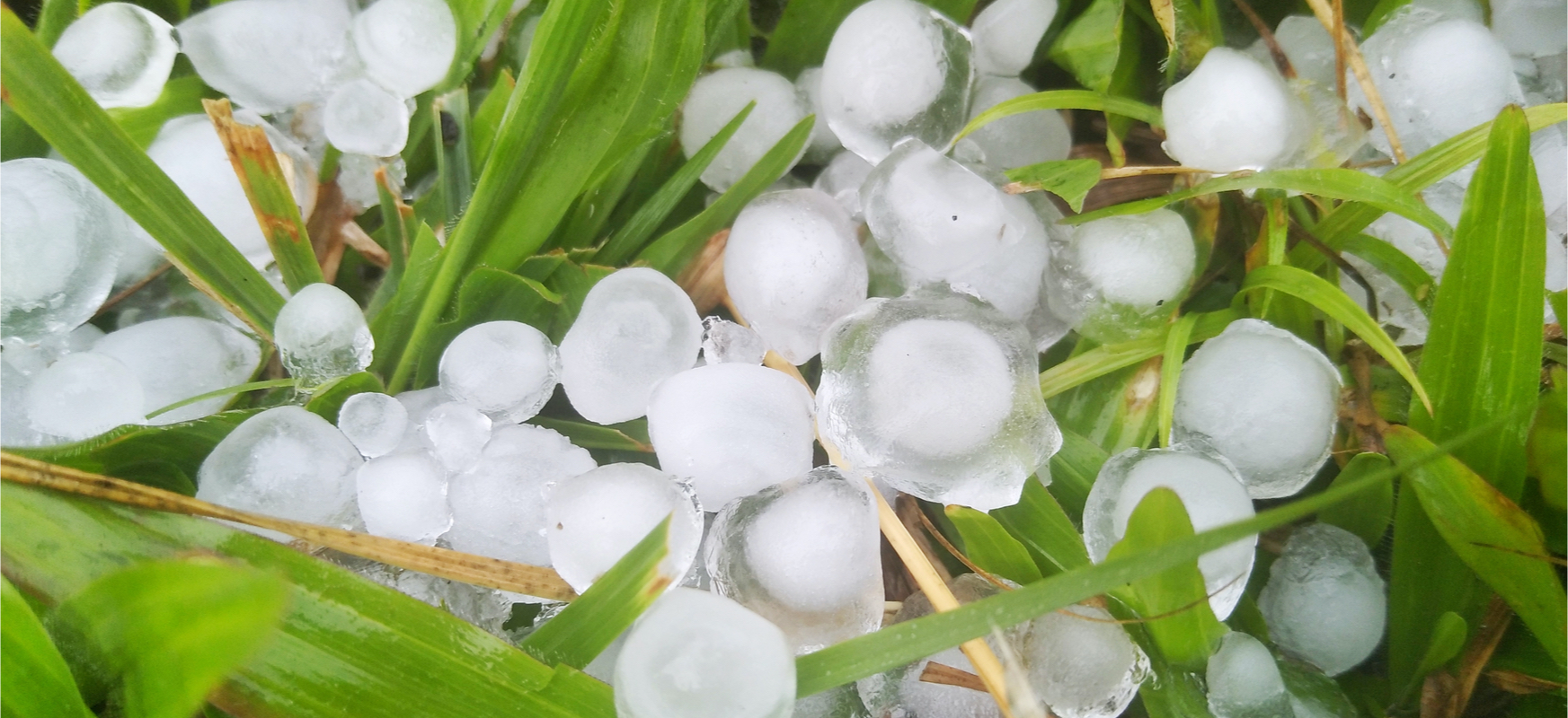 Spadł niespotykanie wielki grad. Zmiany klimatu to nie tylko wyższa temperatura