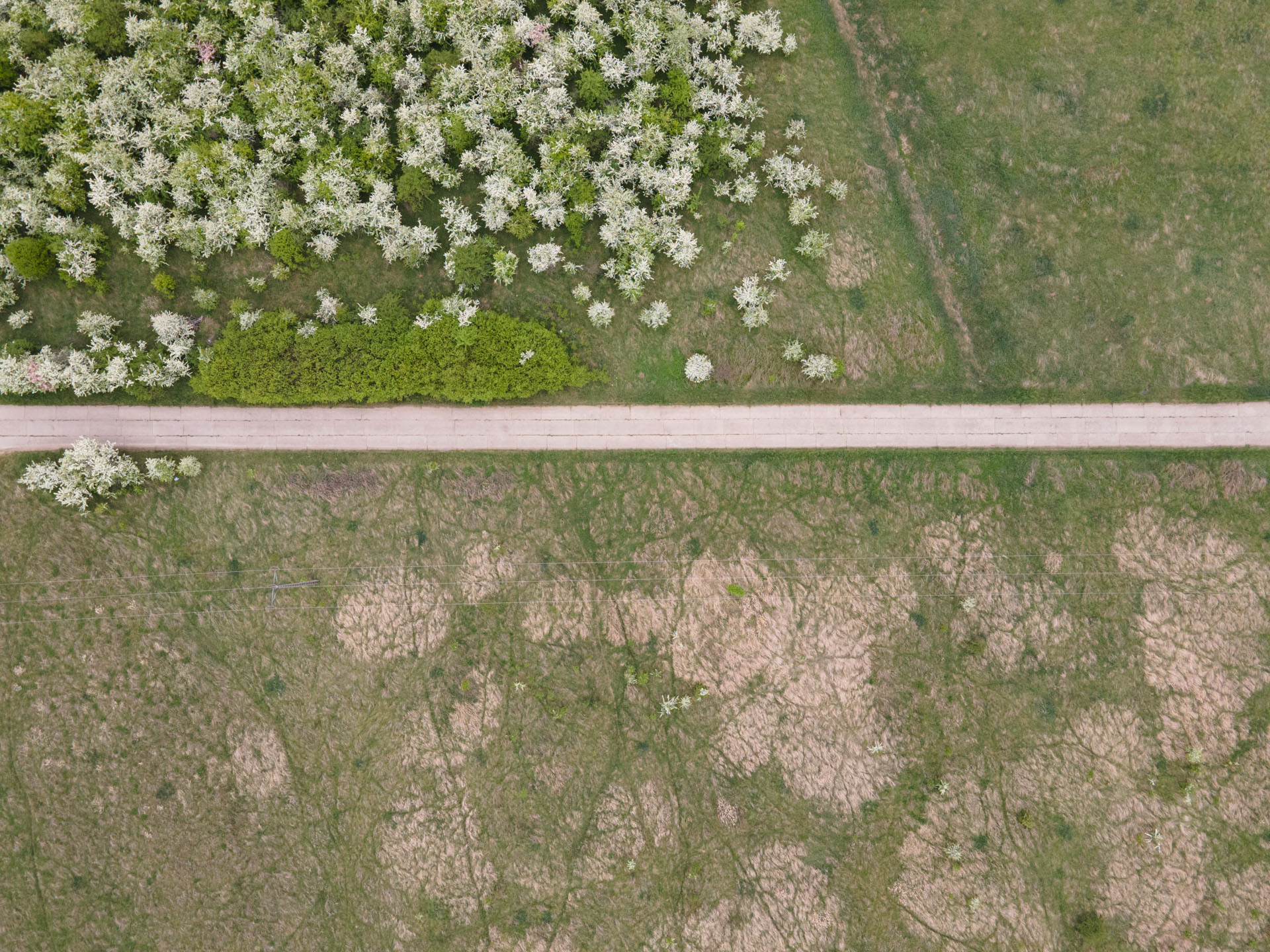 DJI Mavic Air 2 class="wp-image-1153849"