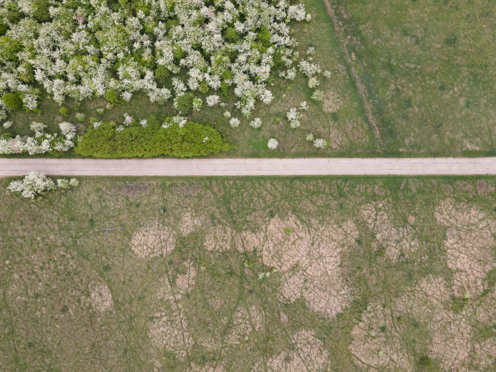 DJI Mavic Air 2 class="wp-image-1153849"