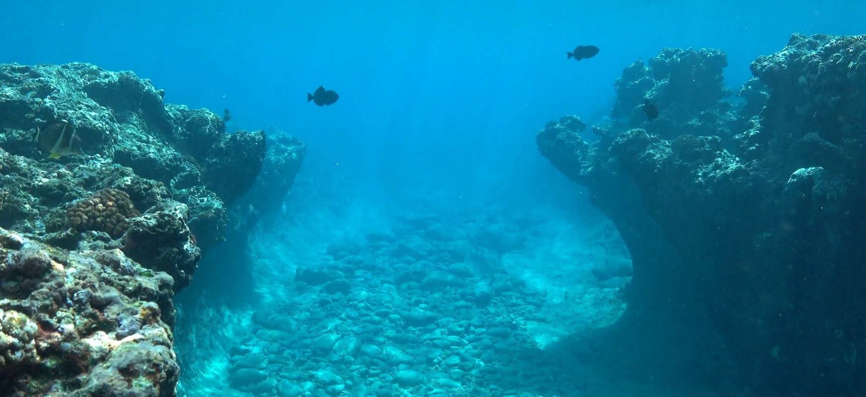 Na dnie oceanów zbierają się ogromne ilości mikroplastiku