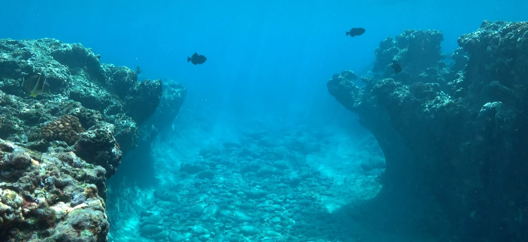 Na dnie oceanów zbierają się ogromne ilości mikroplastiku