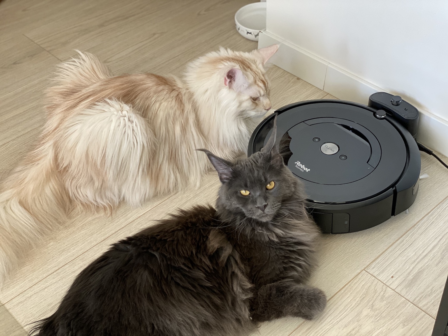 irobot roomba e5 odkurzacz