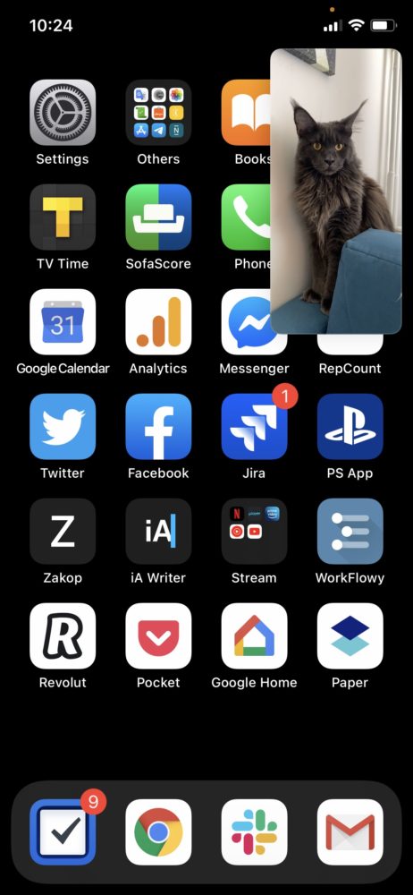 iOS 14 facetime picture in picture class="wp-image-1193698"
