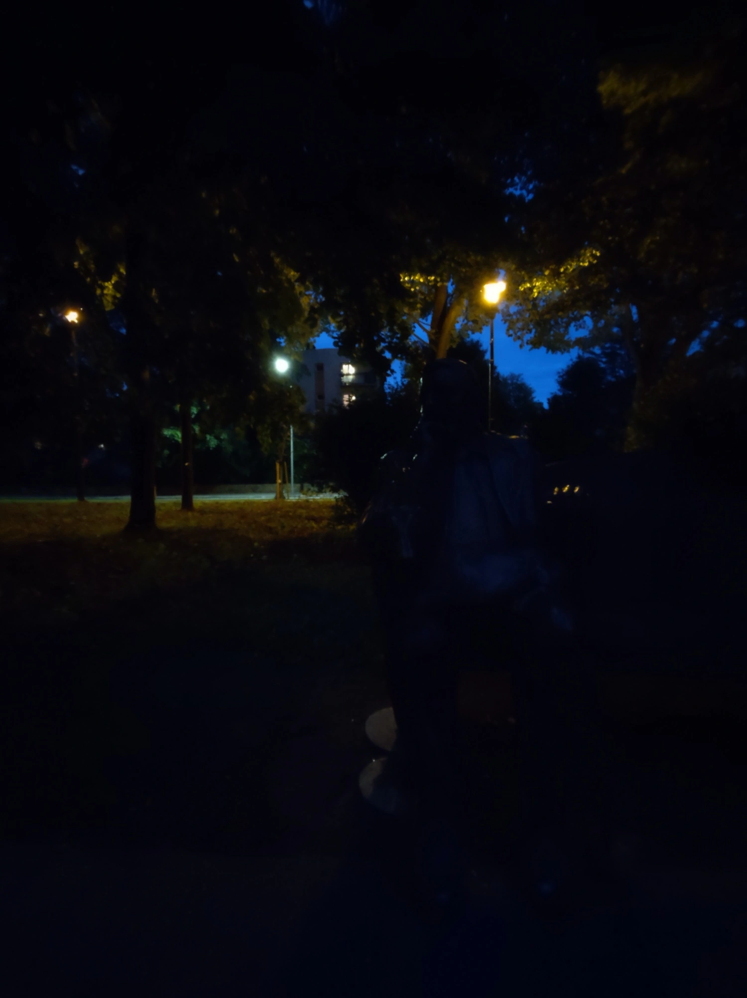class="wp-image-1165660"