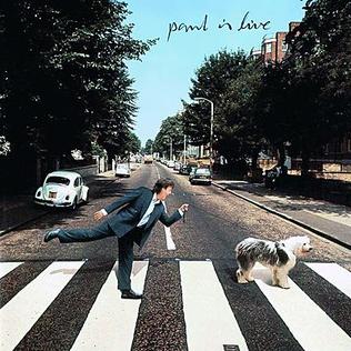 class="wp-image-1190350"
