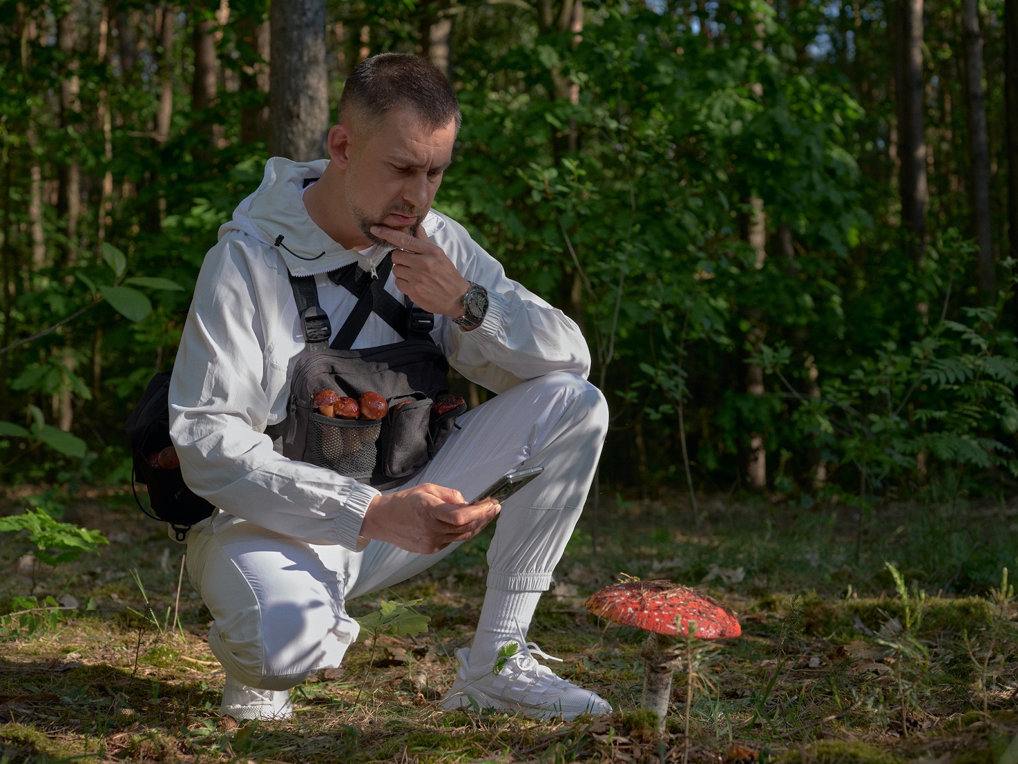 wojtek sokol