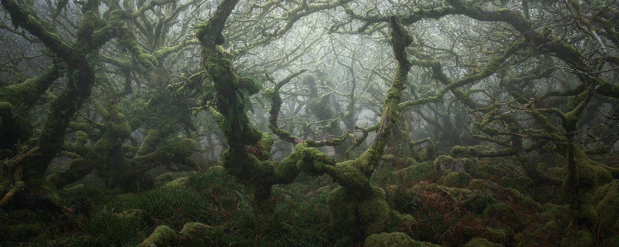 World Landscape Photographer - wybrano wspaniałe fotografie krajobrazu