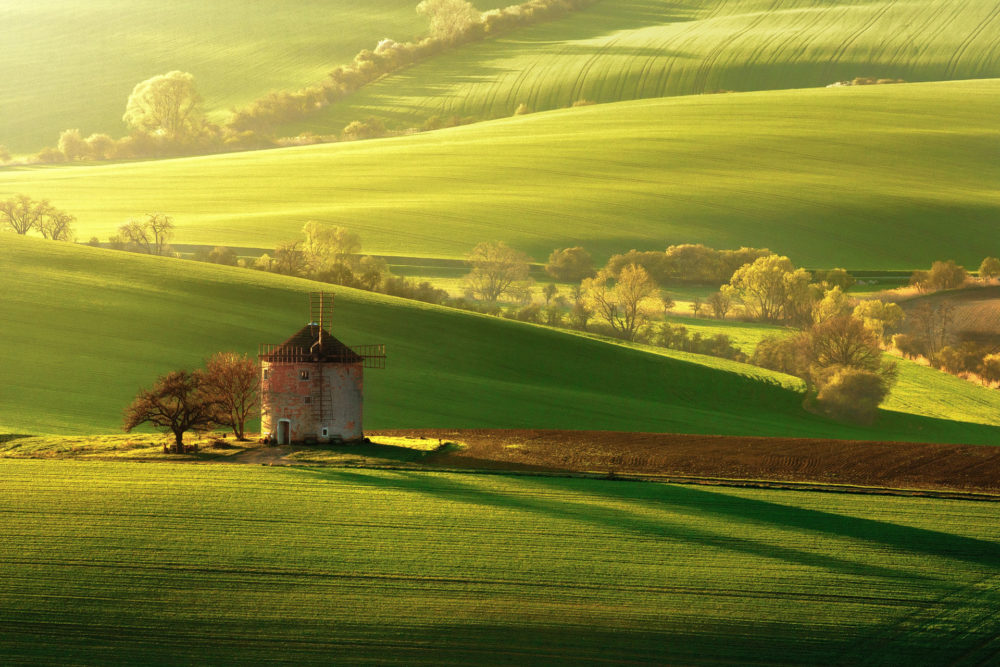class="wp-image-1179454"