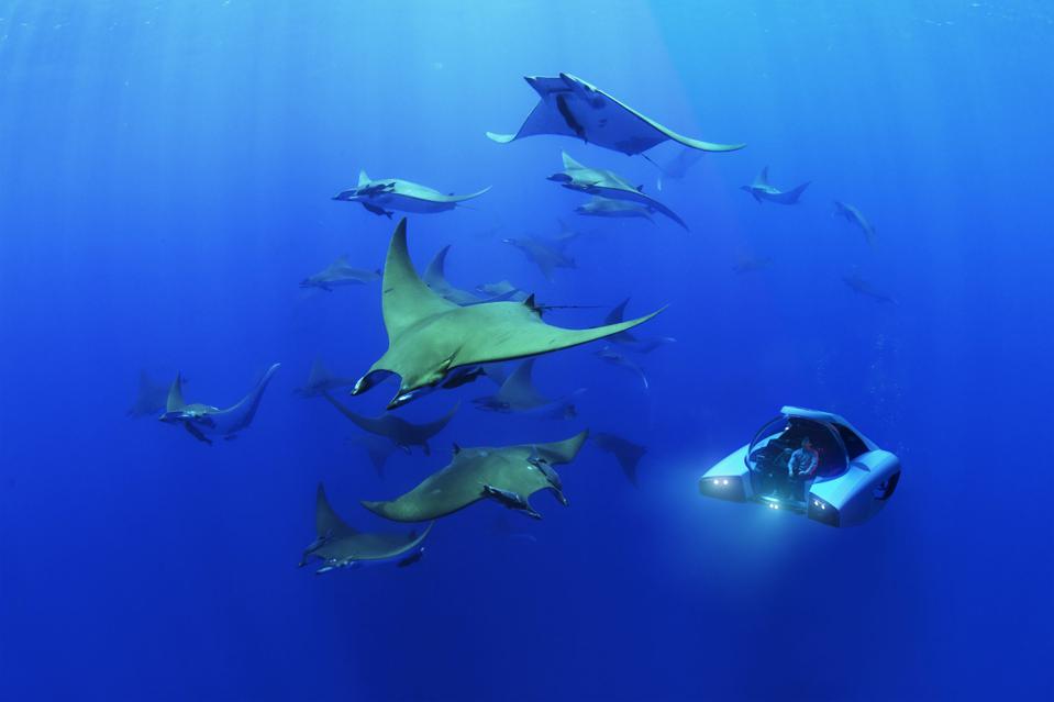class="wp-image-1320652"