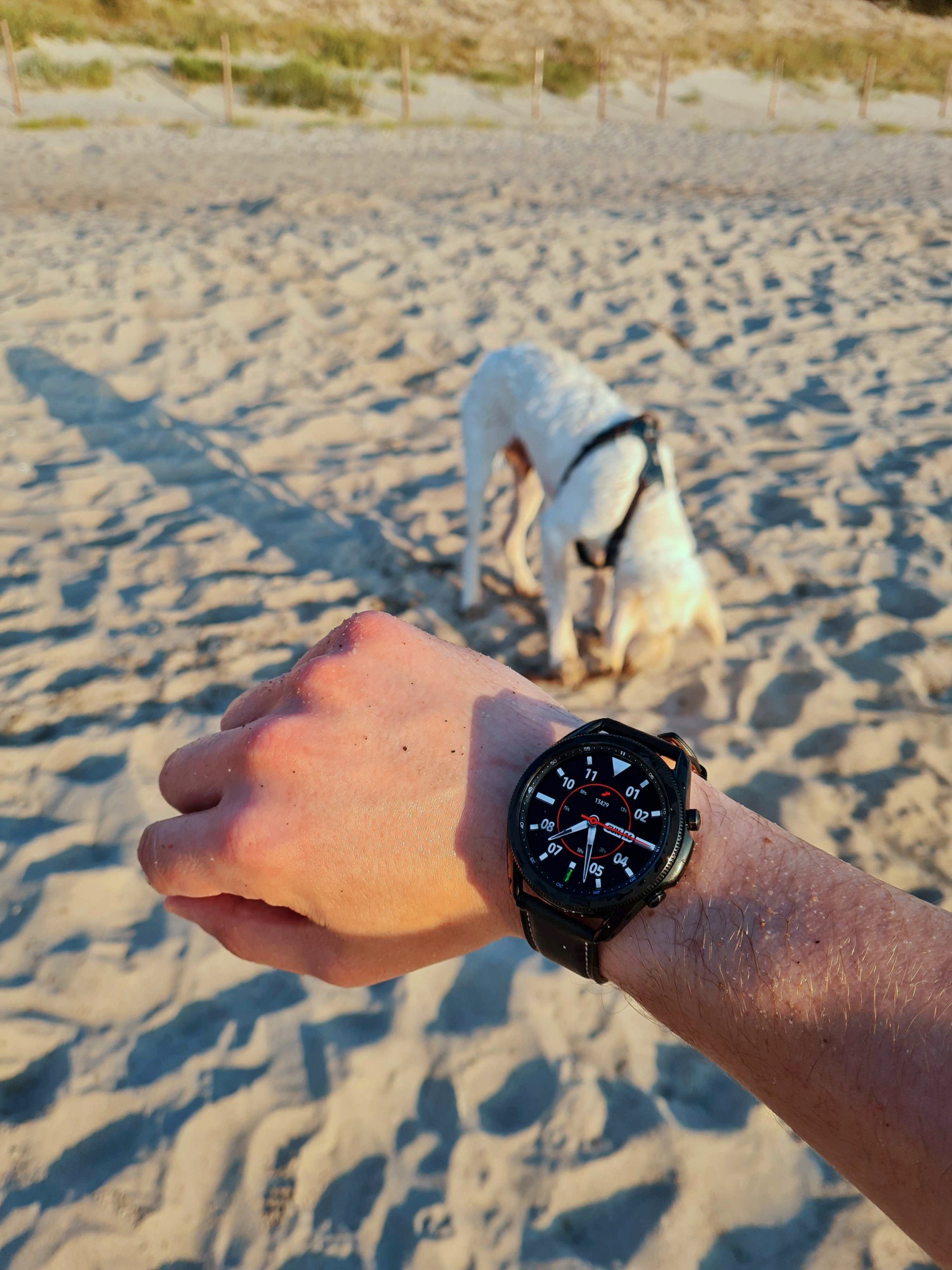 Samsung Galaxy Watch 3 class="wp-image-1328728"