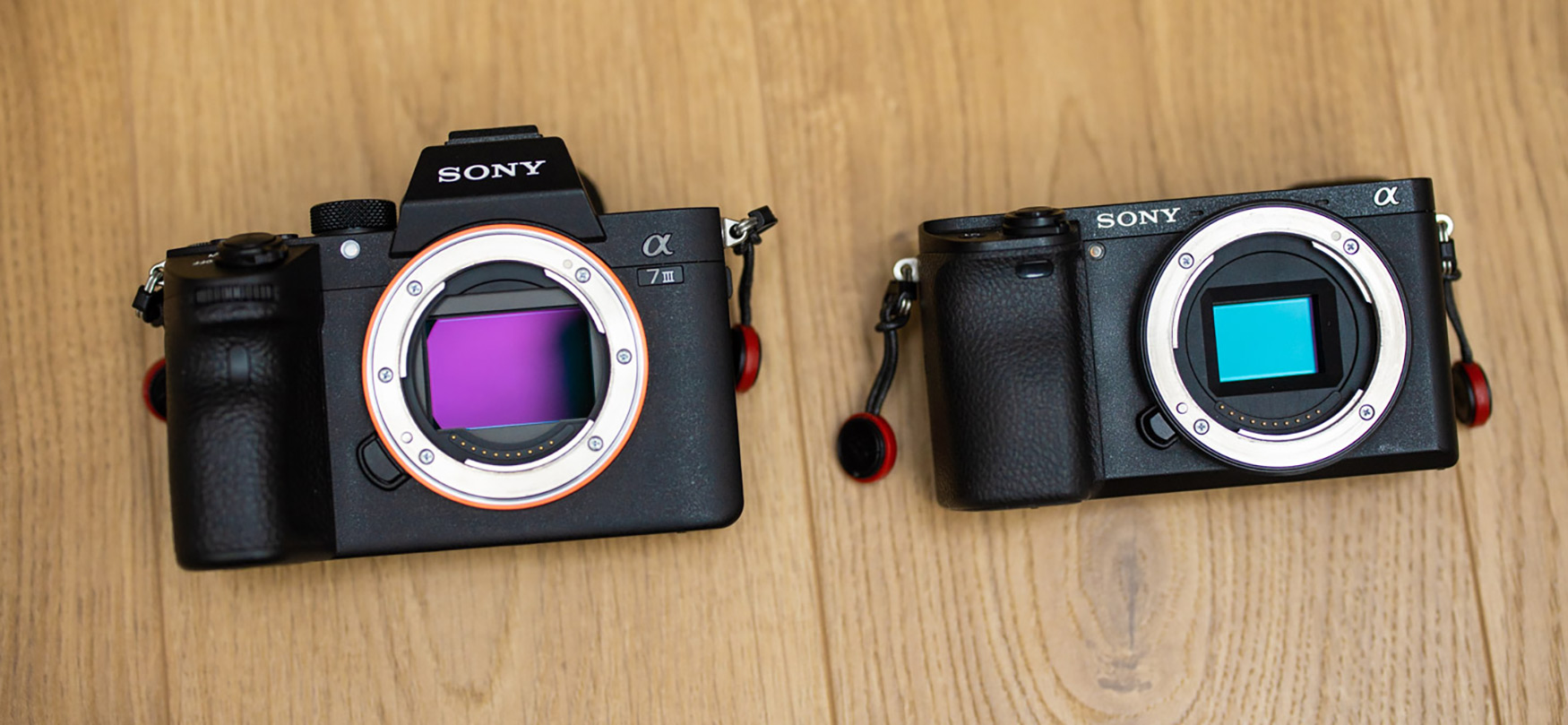 Nadchodzi mała i tania pełna klatka Sony dla Kowalskiego