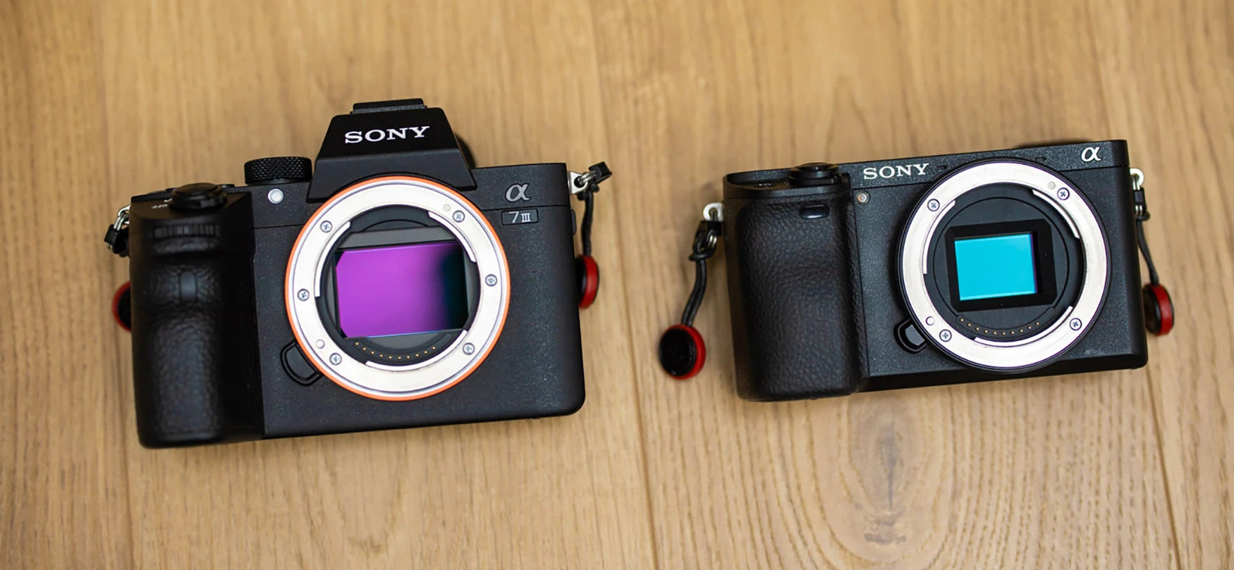 Nadchodzi mała i tania pełna klatka Sony dla Kowalskiego