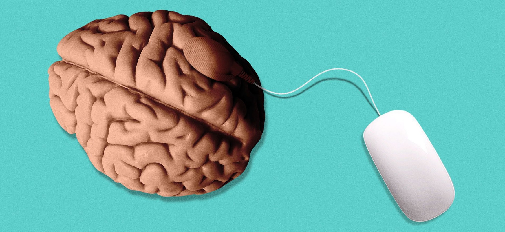Neuralink już działa, ten makak gra w Ponga za pomocą swoich myśli