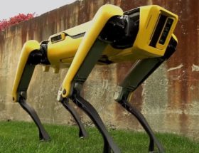Wieczorową porą ulicami Ontario chodzą roboty. Postapokaliptyczna wizja rzeczywistością?