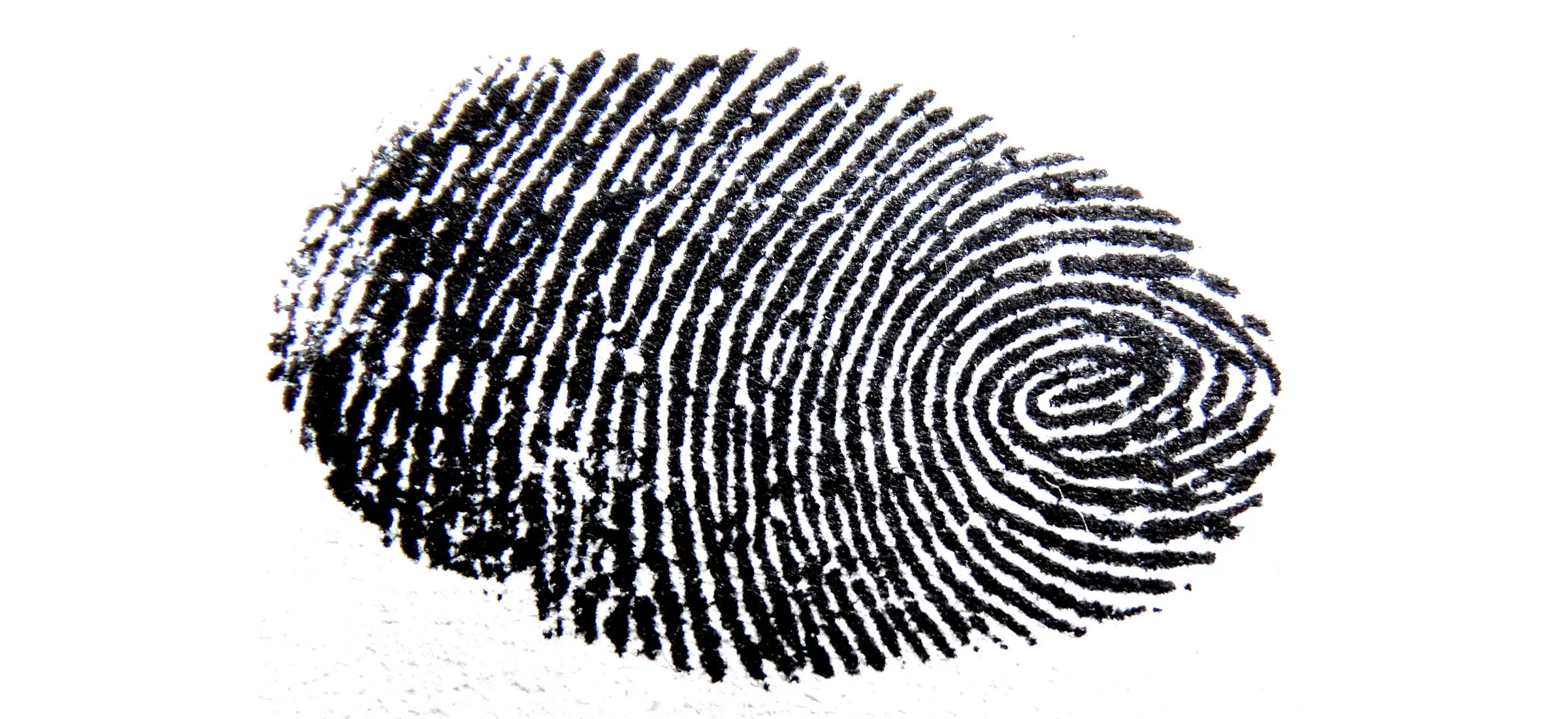 fingerprinting