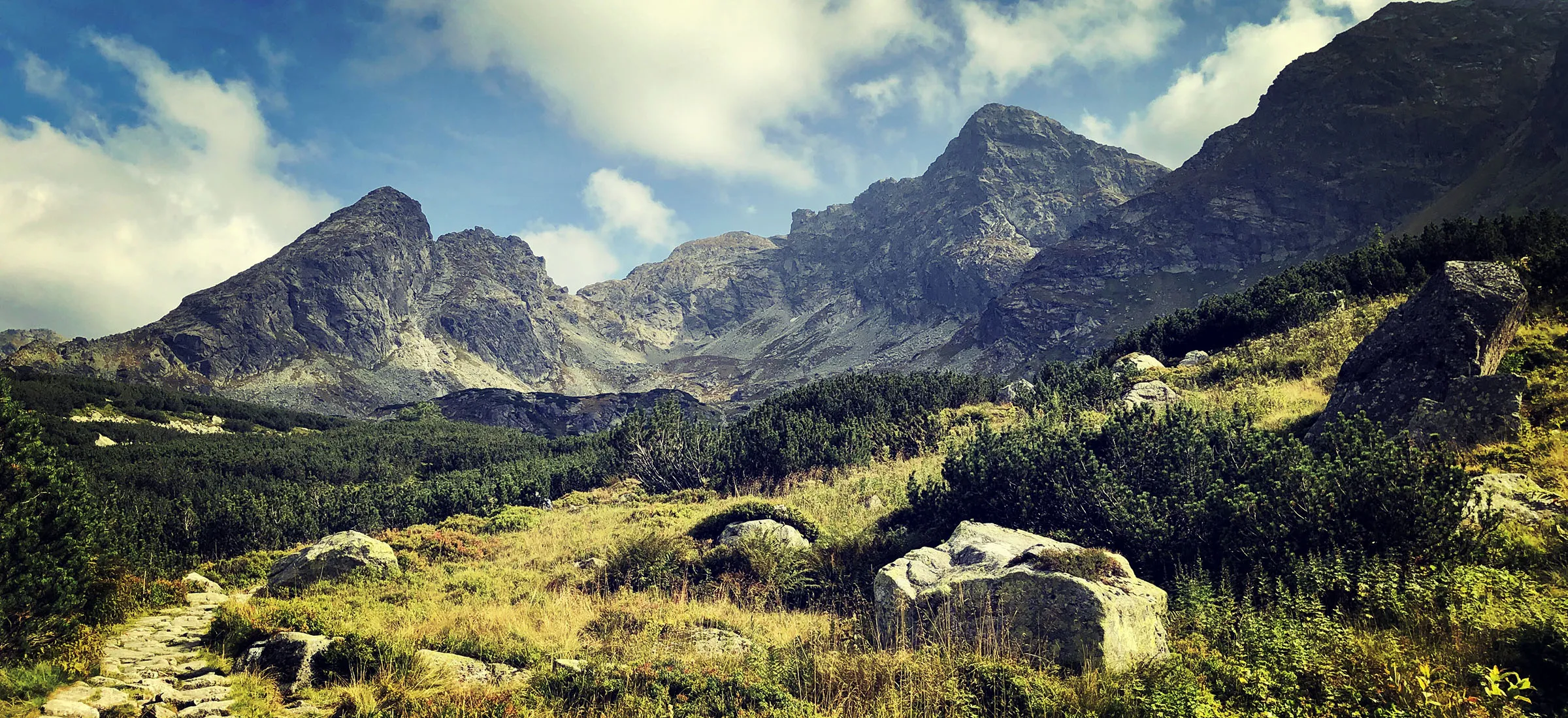 maseczka szlak tatry