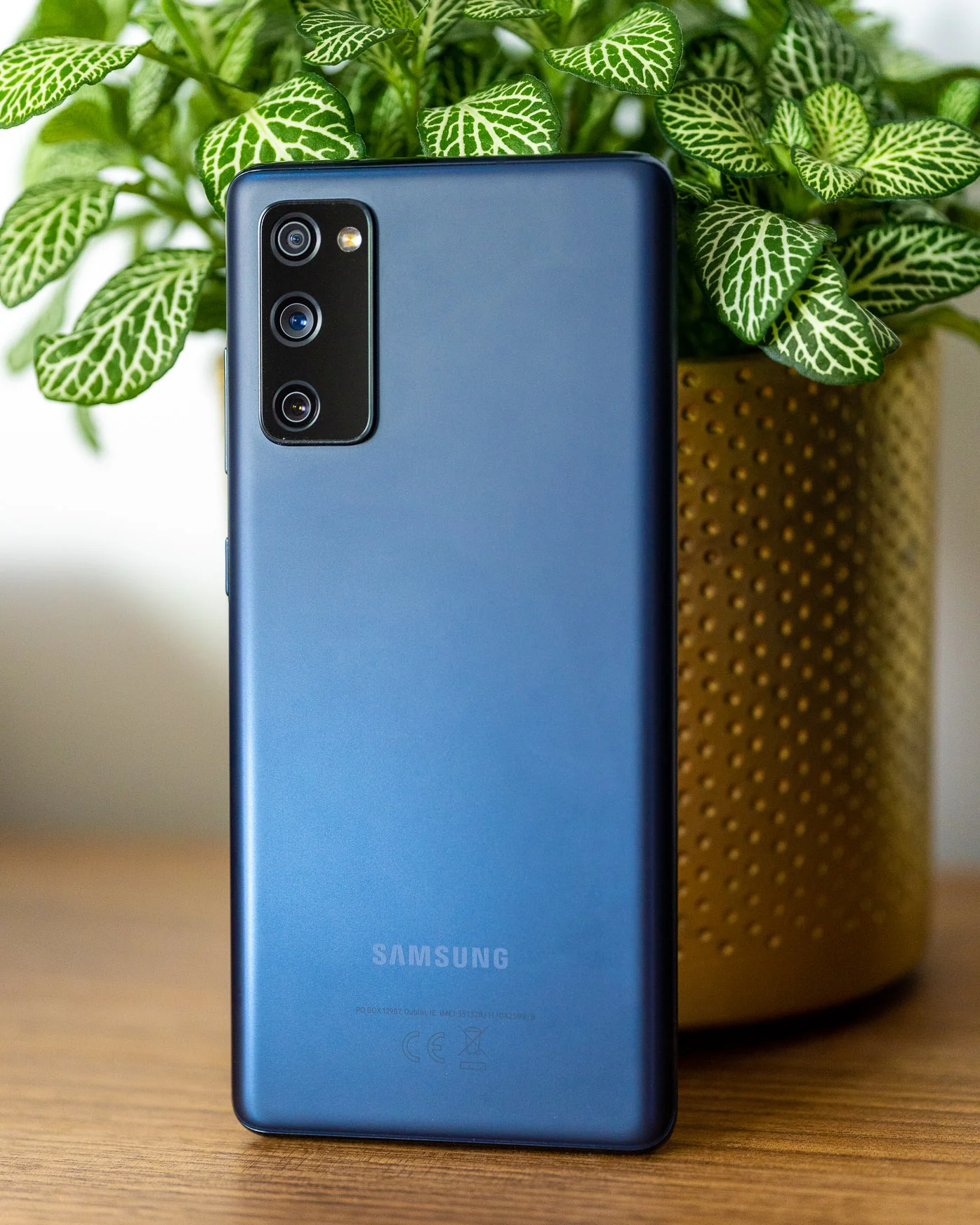 Samsung Galaxy S20 FE class="wp-image-1477784" 