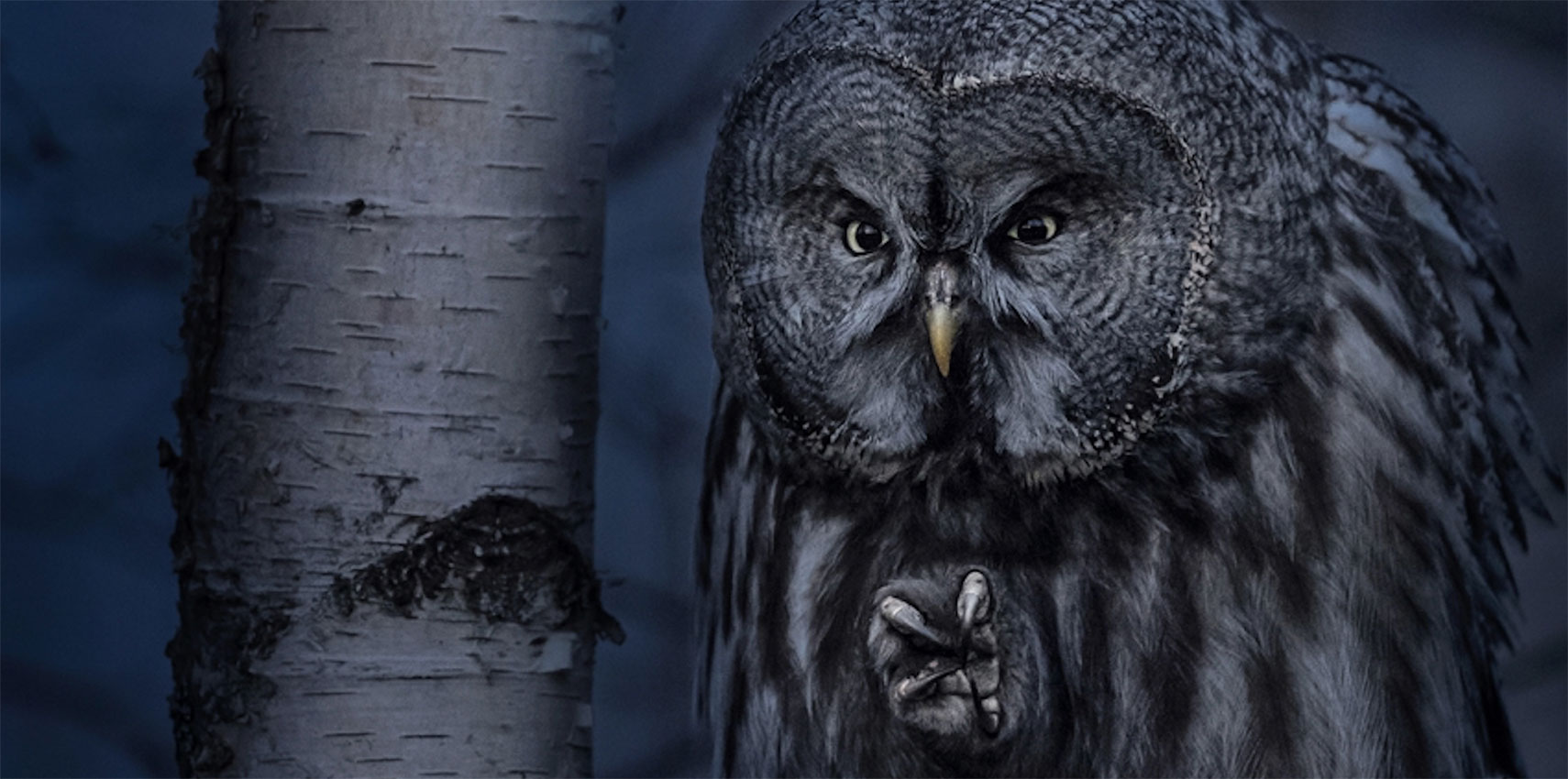 Fotografie zwycięzców Siena International Photo Awards 2020 to kopalnia inspiracji