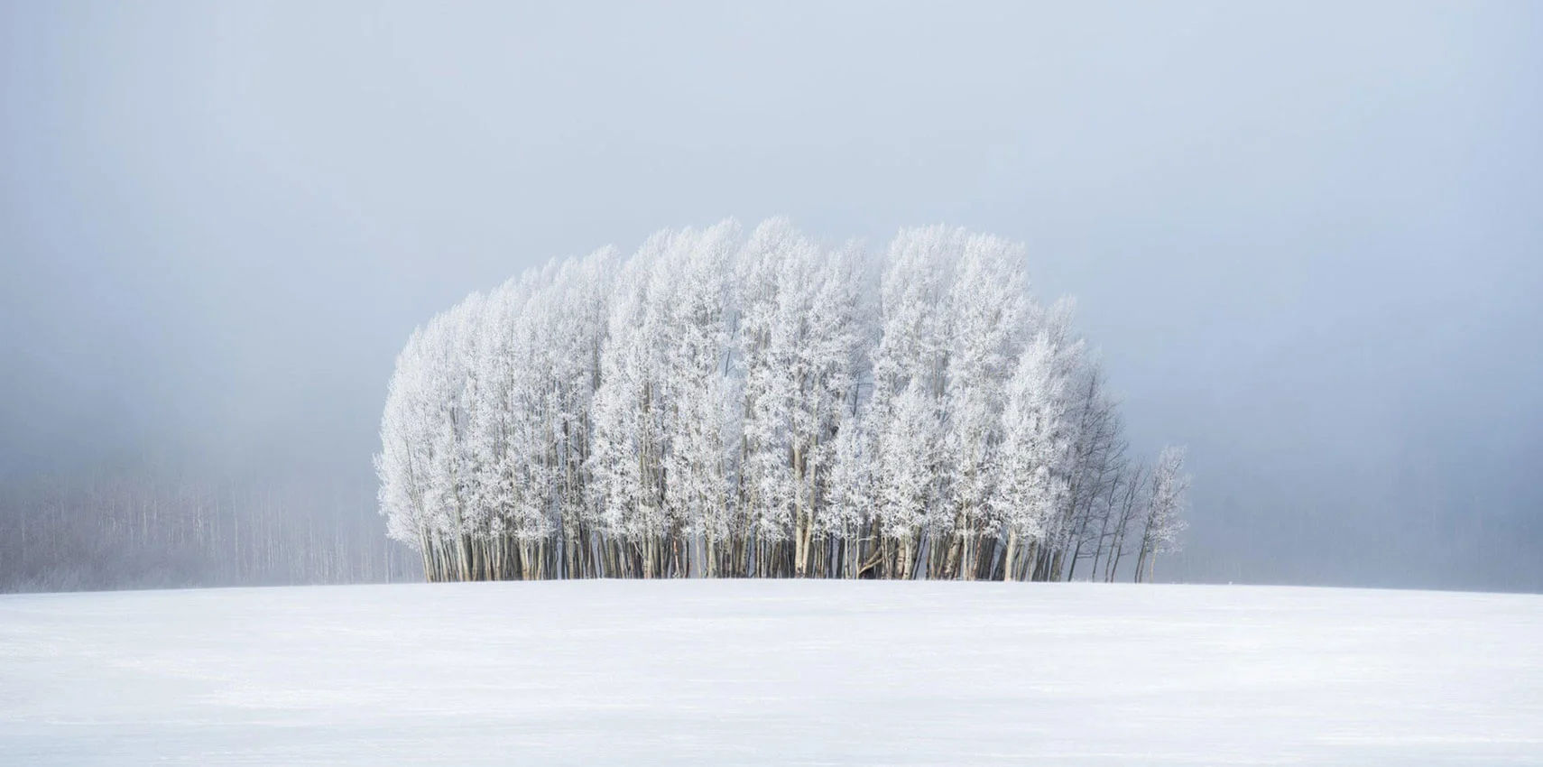 Fot. Preston Stoll / Weather Photographer of the Year 2020