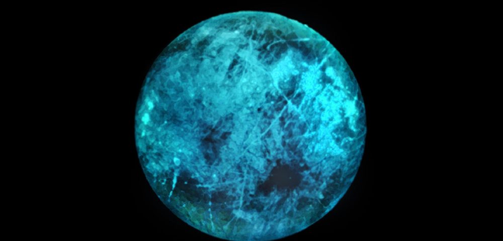 class="wp-image-1491974"