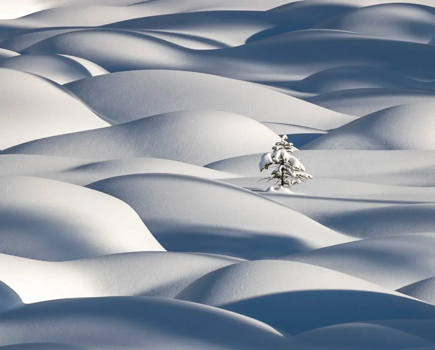 class="wp-image-1503041"