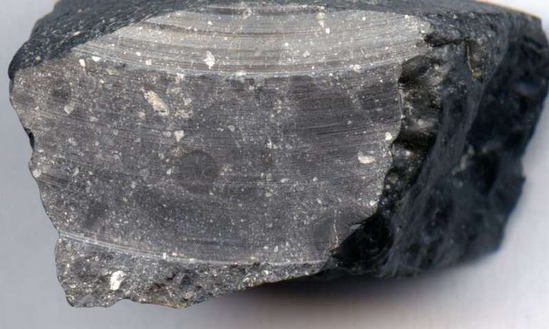class="wp-image-1483436"