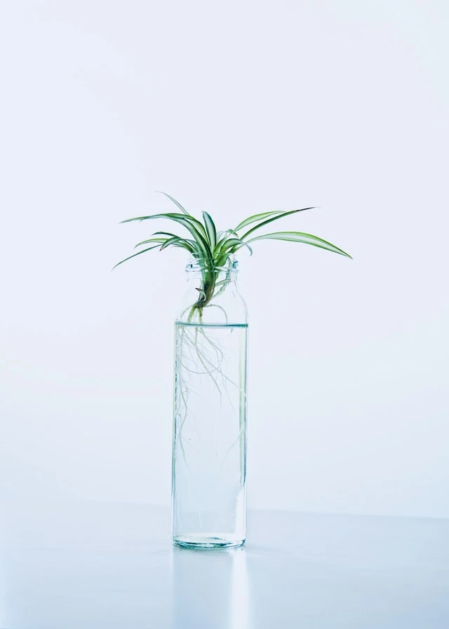  class="wp-image-1493648" 