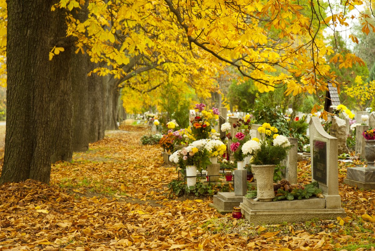  class="wp-image-1506839" 