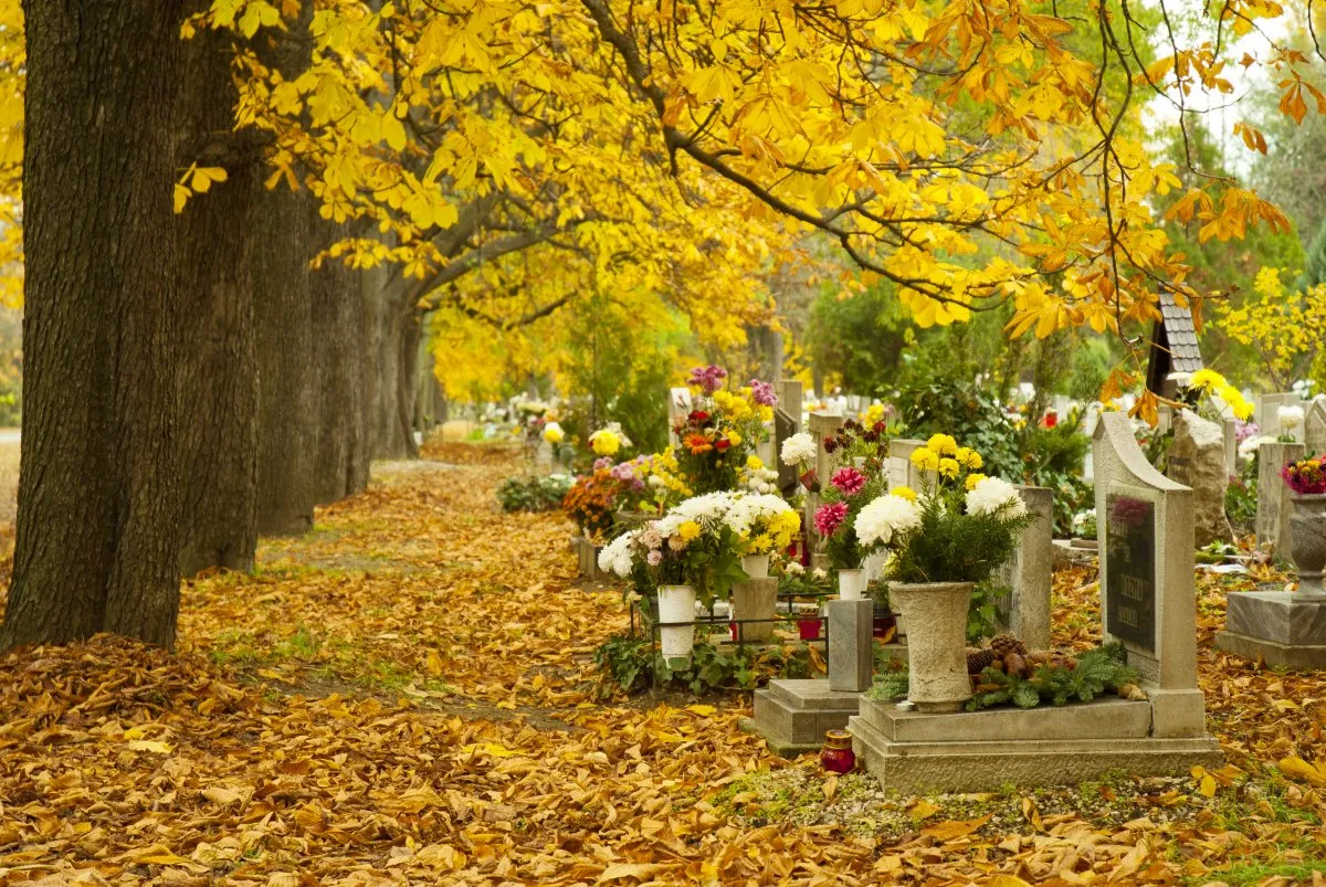  class="wp-image-1506839" 