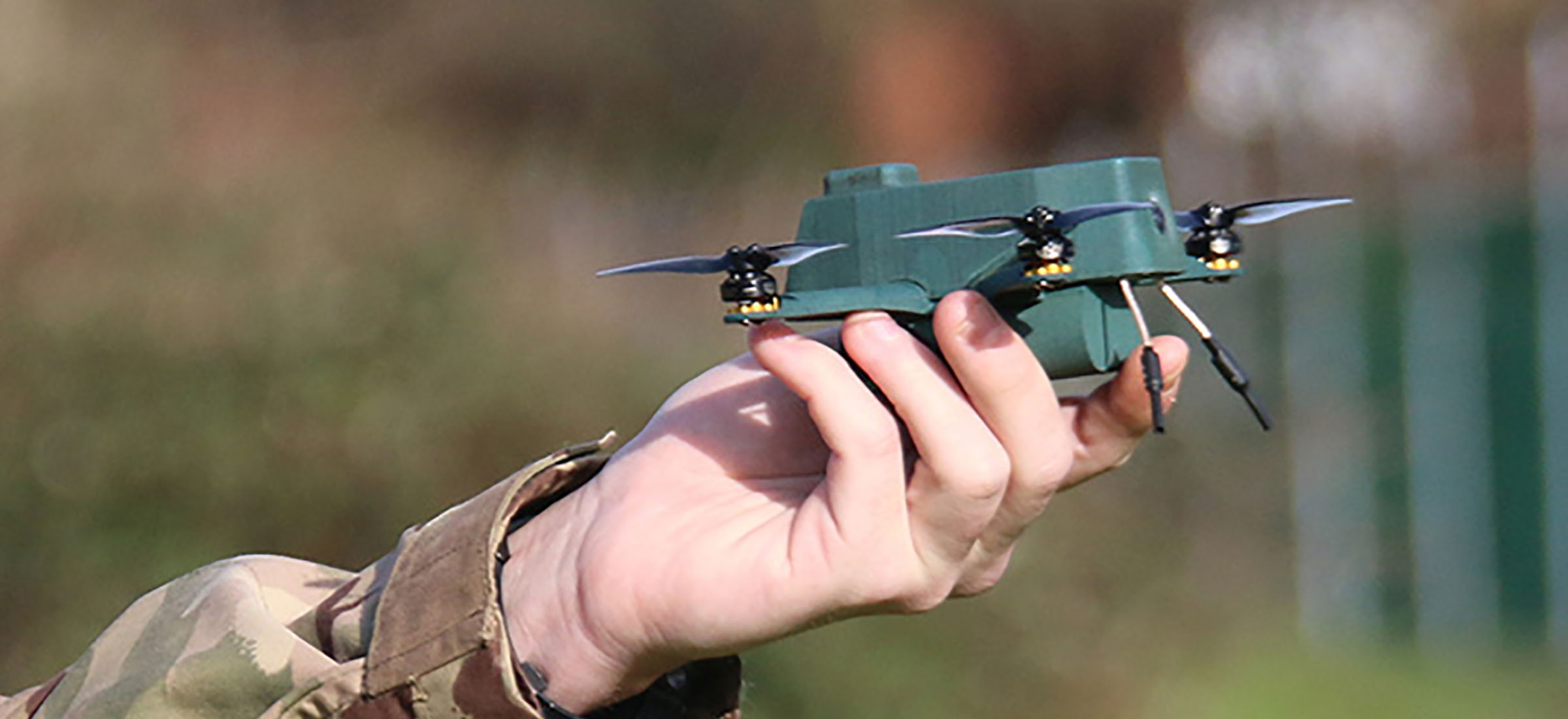 dron the bug