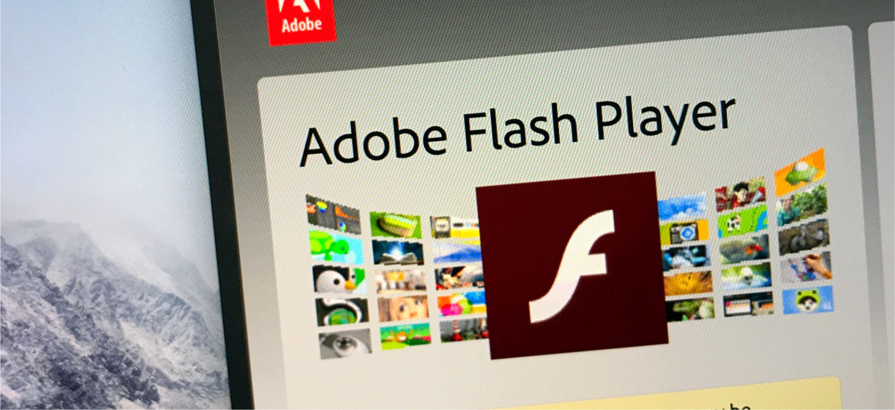flash player windows