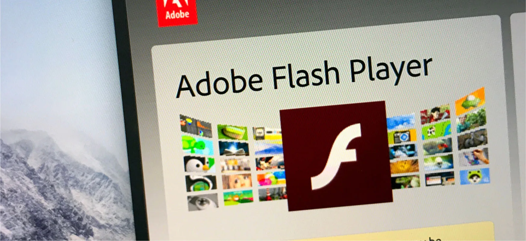 flash player windows