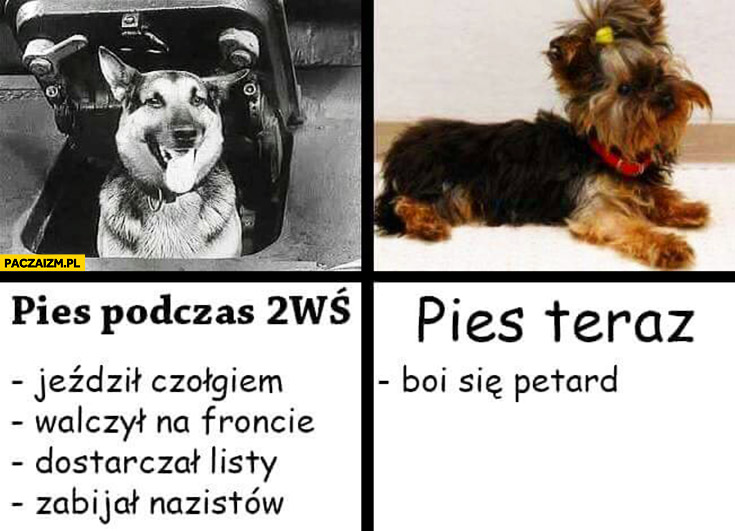 class="wp-image-1546469"