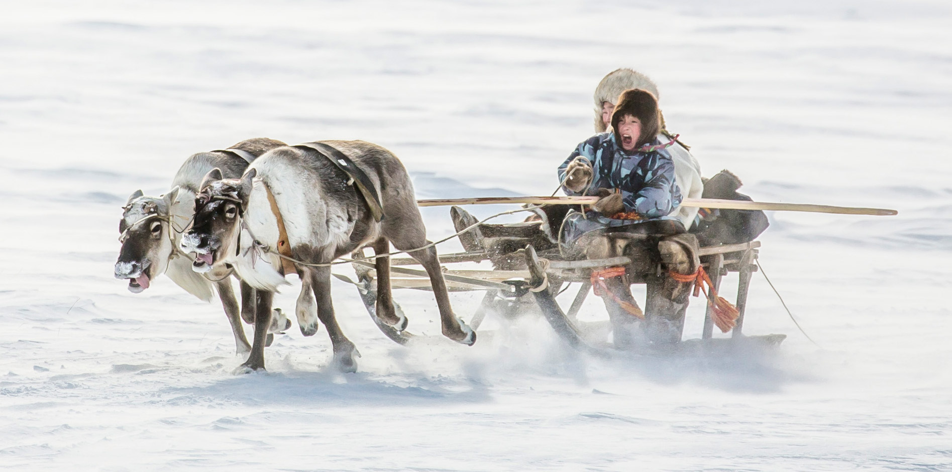 Pandemia nie zatrzymała fotografów podróżników. Oto zwycięzcy Travel Photographer of the Year 2020