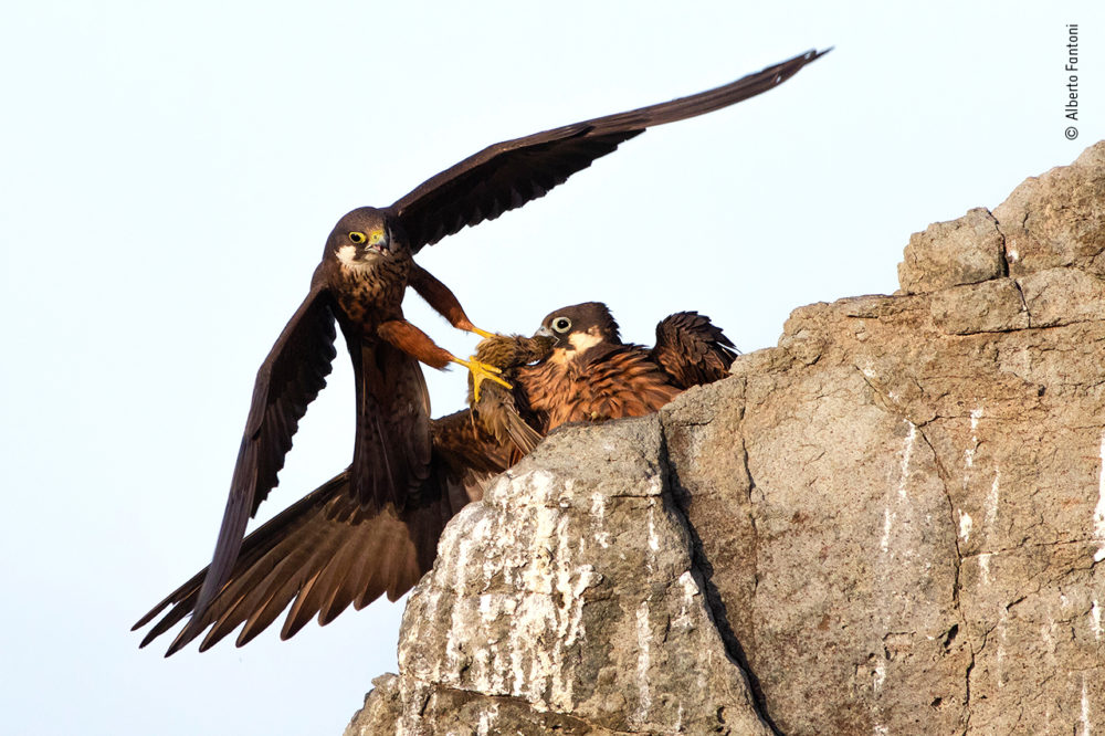 class="wp-image-1592408" width="580" height="386"