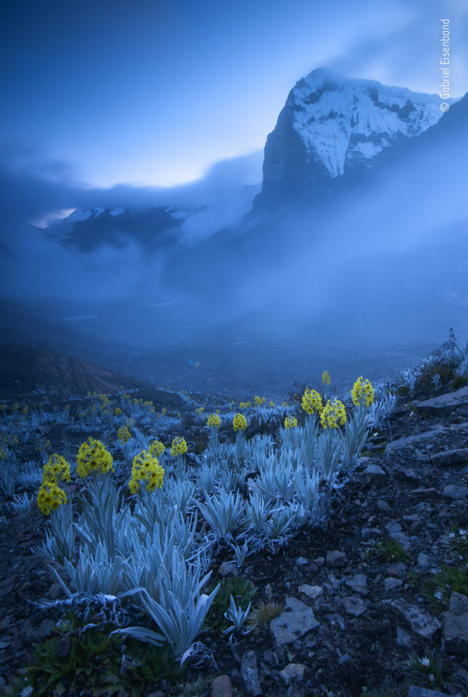 class="wp-image-1592420"