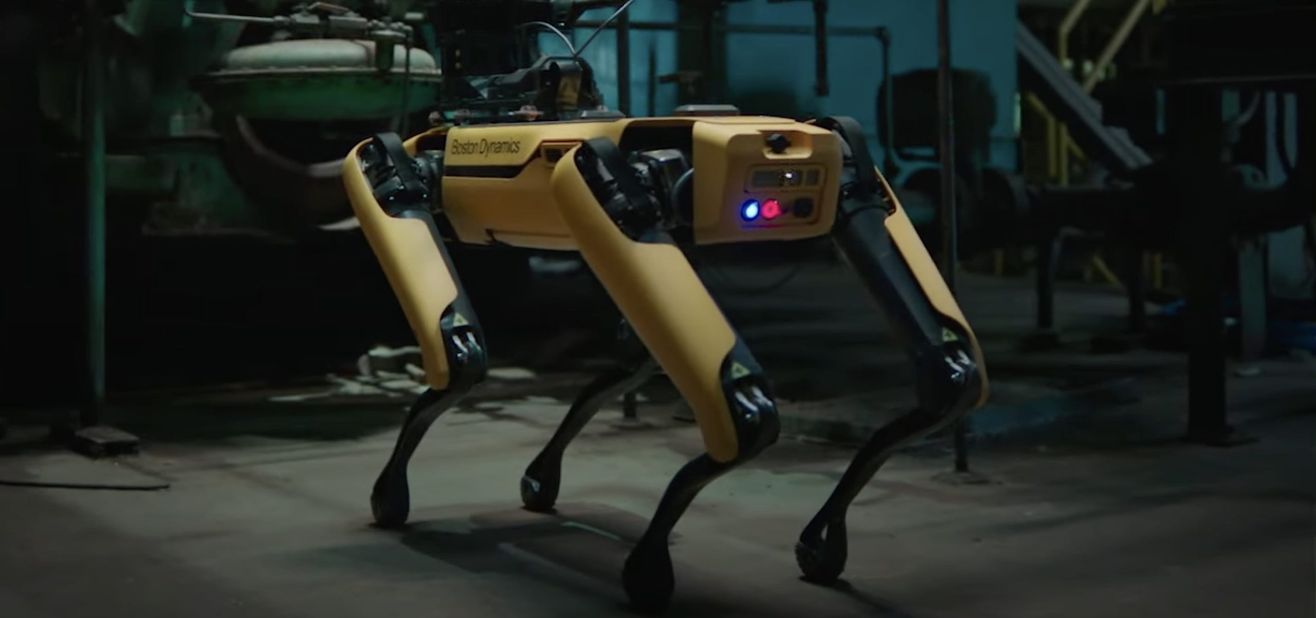 Stary robo-pies nauczył się nowych sztuczek
