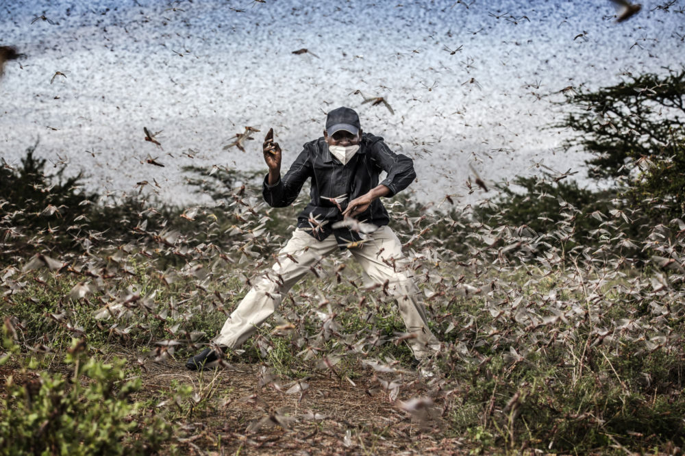 Fot. Luis Tato, Hiszpania, "Fighting Locust Invasion in East Africa" / World Press Photo 2021 class="wp-image-1625522"