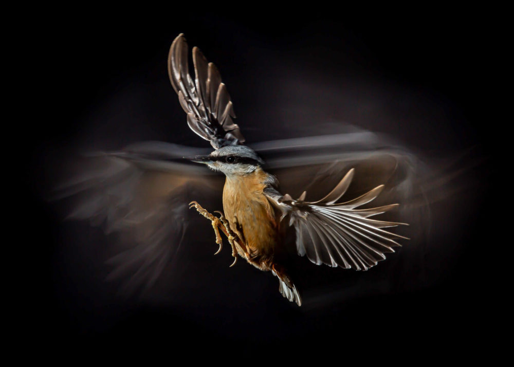 class="wp-image-1655166"