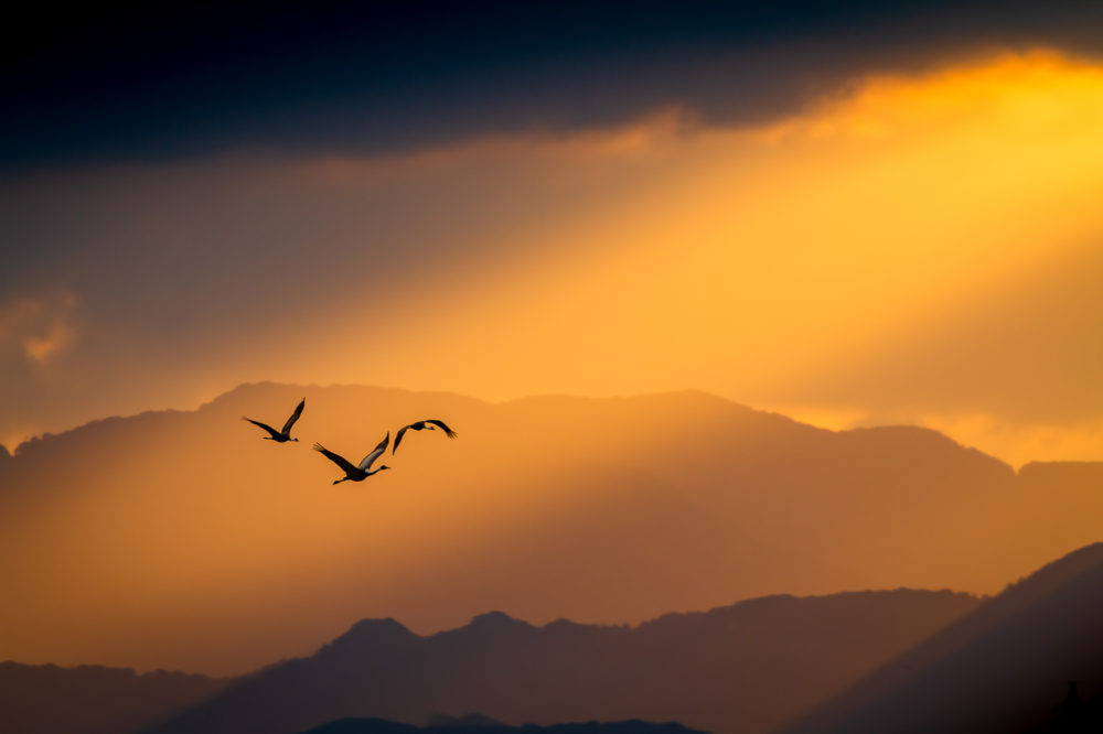 class="wp-image-1655178"