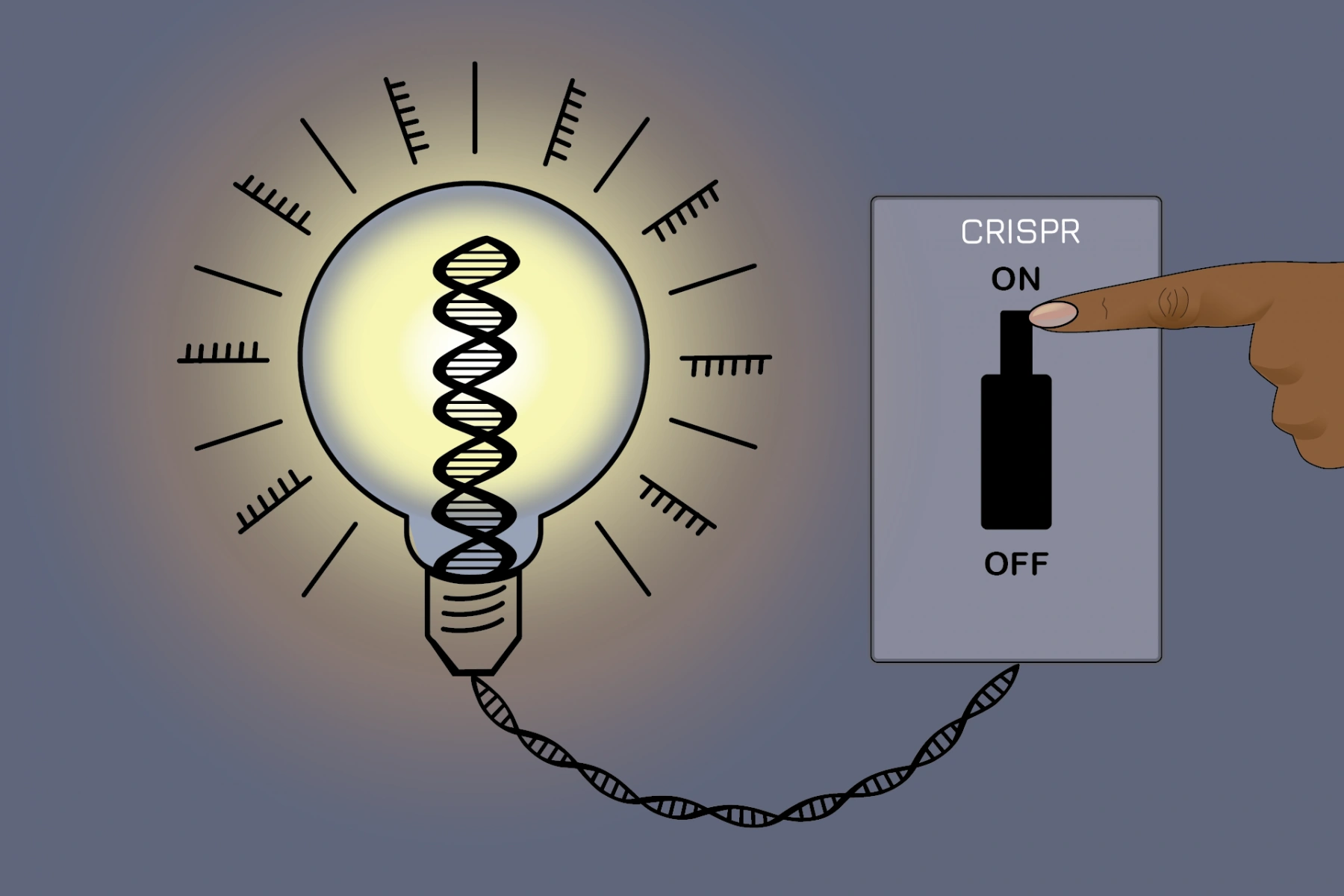 CRISPRoff - nowa metoda edycji genów, która pozwoli na edycję ludzkiego DNA