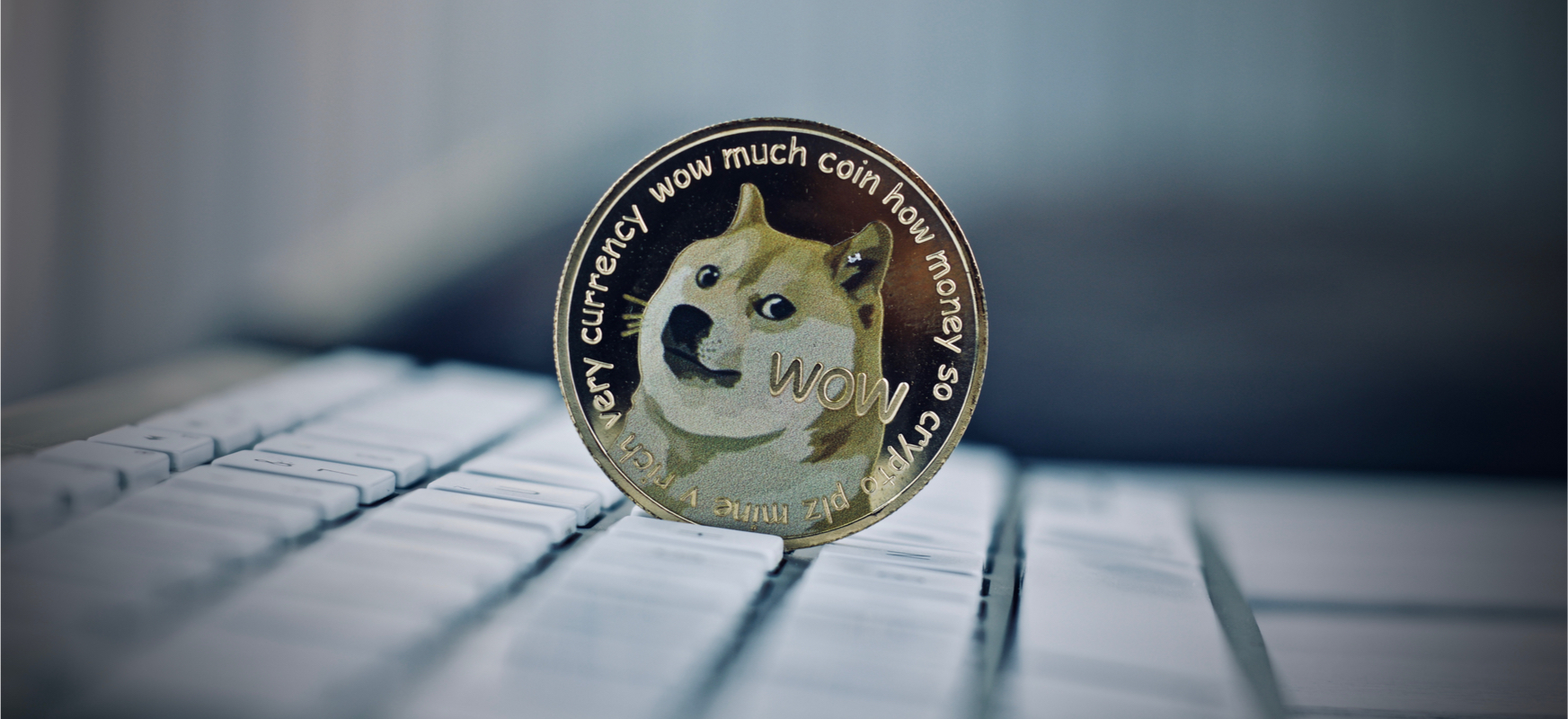 dogecoin co to elon musk tweet