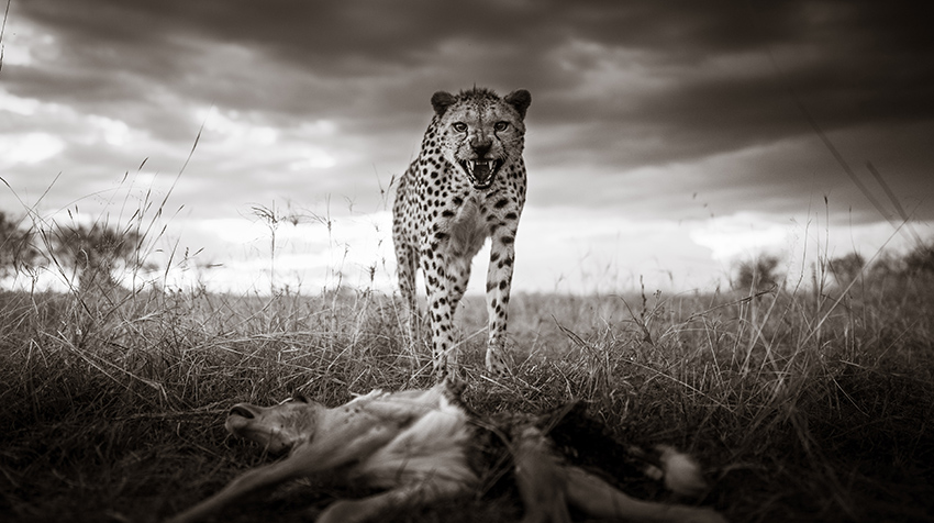 class="wp-image-1666422"