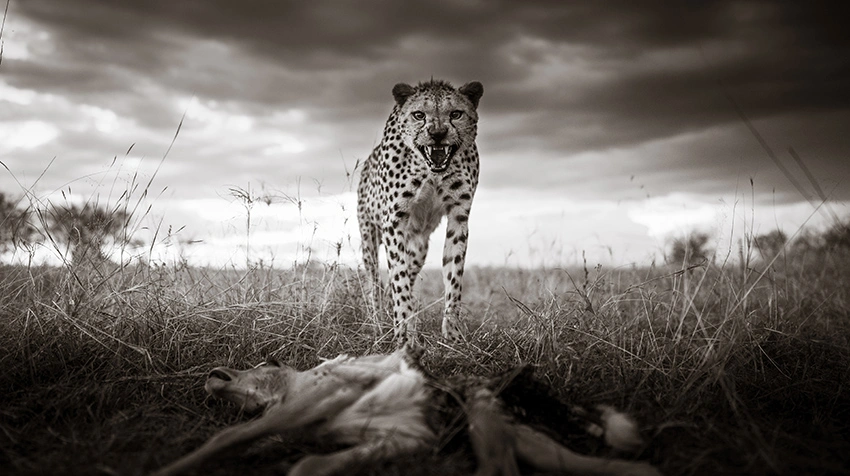  class="wp-image-1666422" 