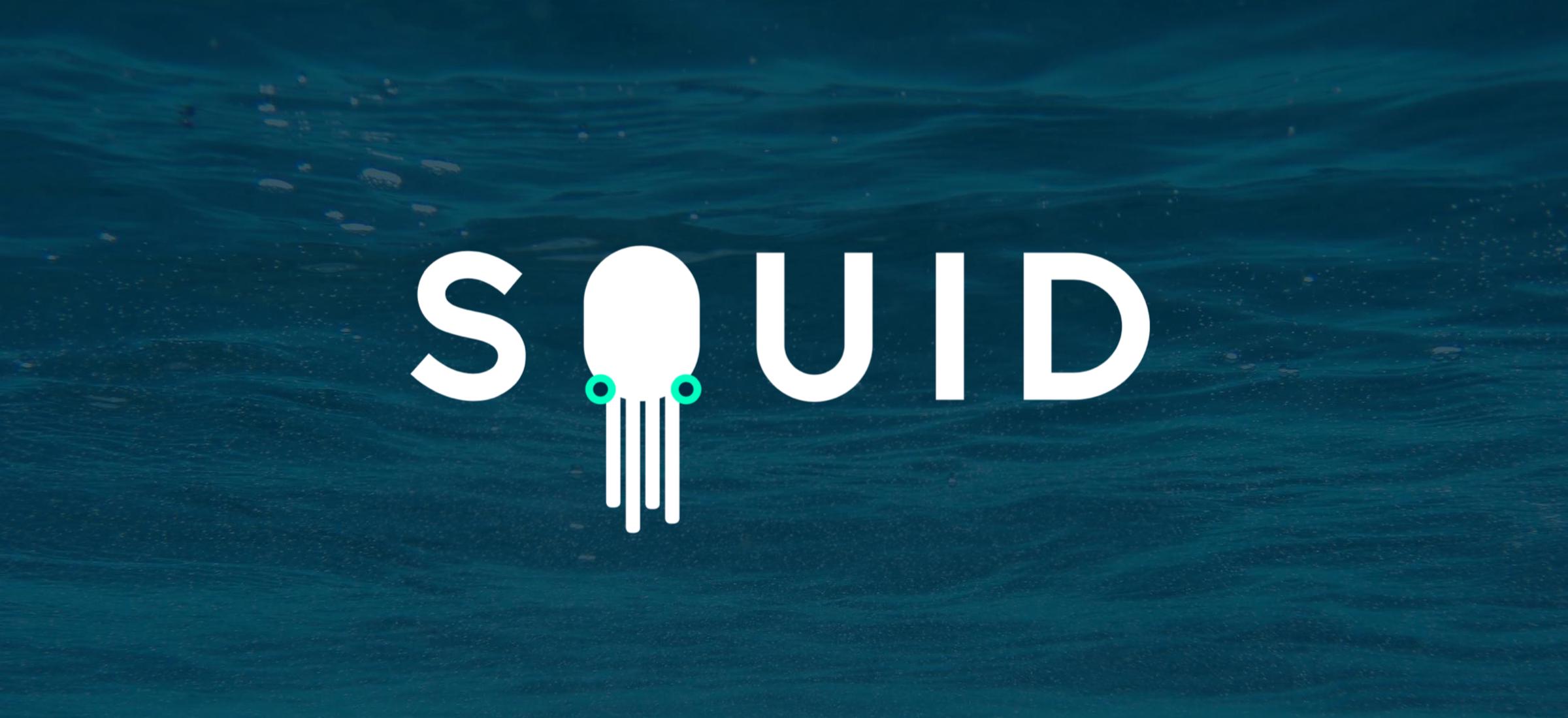 squid logo