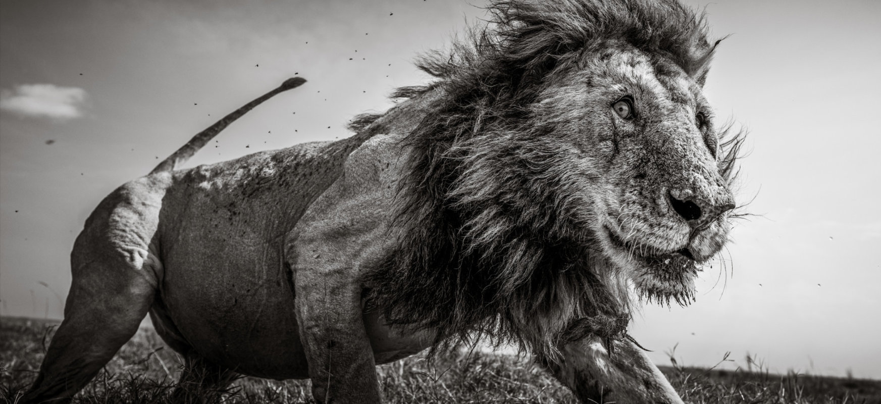 Oto najlepsze zdjęcia roku w Sony World Photography Awards. Szóstka Polaków z nagrodami