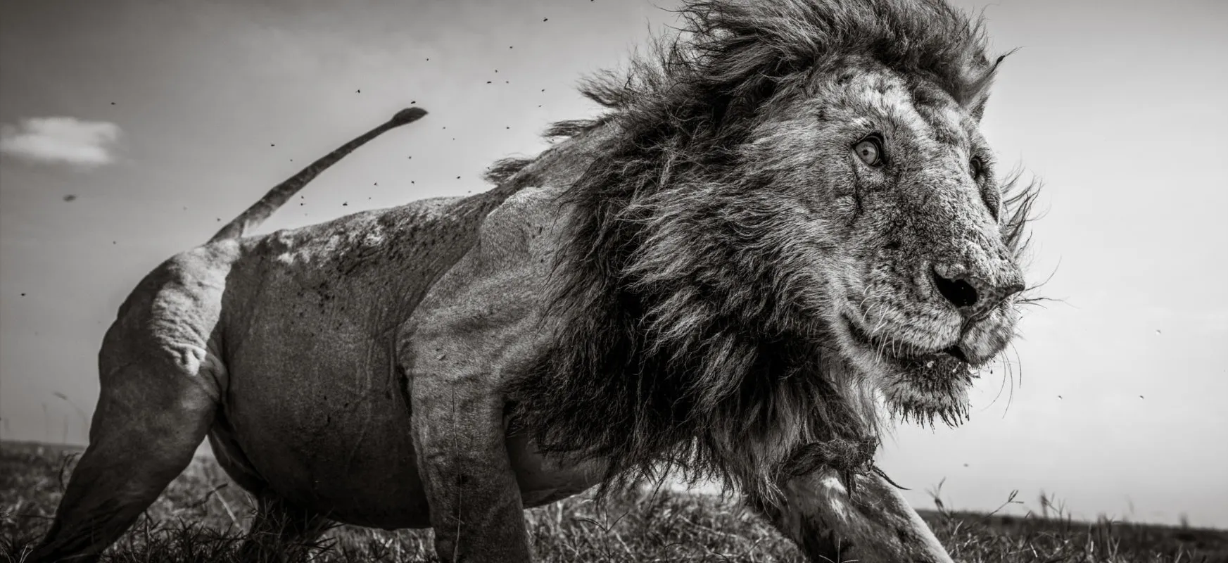 Oto najlepsze zdjęcia roku w Sony World Photography Awards. Szóstka Polaków z nagrodami